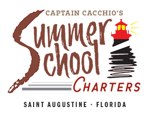 Summer School Charters